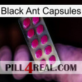 Black Ant Capsules 09